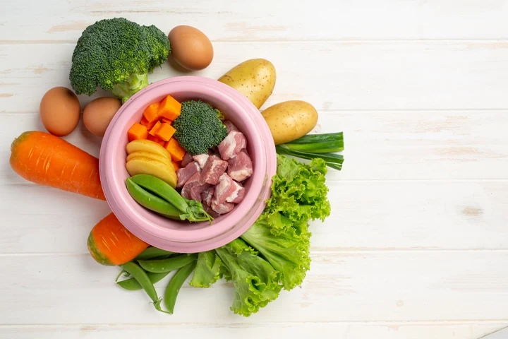 Alimentos Ricos em Vitamina A – Guia Completo